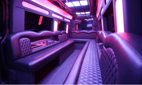 Los Angeles 14 Passenger Sprinter Bus Interior